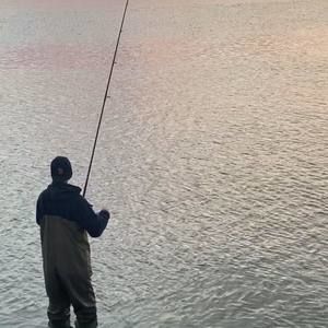 Meet your Posher, Tito